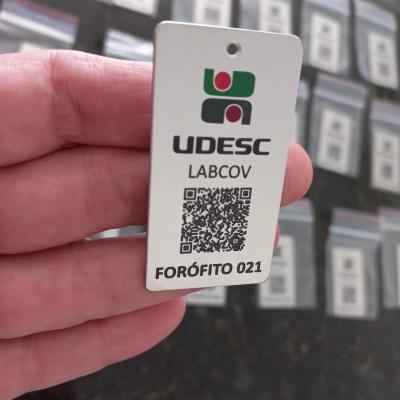 Imagem Do Whatsapp De 2024 06 13 S 11.05.17 10c0ec4d